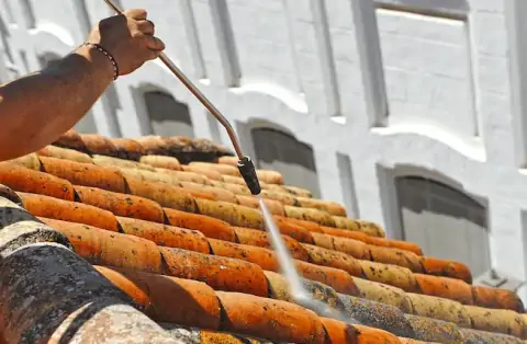 Démoussage de toiture à Rauzan